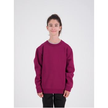 Standard Crew Neck Sweat – Kids CSIK