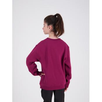 Standard Crew Neck Sweat – Kids CSIK