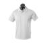 Botany Mens Polo - 1307 Polos from Challenge Marketing NZ