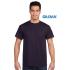 Adult Cotton T Shirt Gildan - 5000 T Shirts from Challenge Marketing NZ