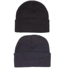 Acrylic Roll-Up Beanie with Thinsulate Lining Beanies from Challenge Marketing NZ