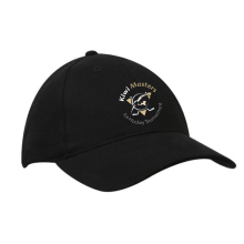 6 Panel Brushed Heavy Cotton Cap Caps from Challenge Marketing NZ