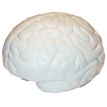 Large Brain Shape Stress Reliver Stress Relievers from Challenge Marketing NZ