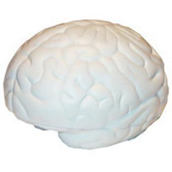 Large Brain Shape Stress Reliver