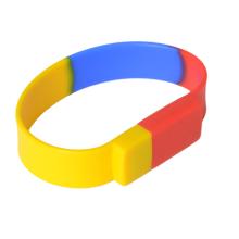 Sectional Coloured Wristband Flash Drive Flash Drives from Challenge Marketing NZ