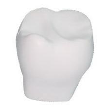 White Tooth Shape Stress Reliver Stress Relievers from Challenge Marketing NZ