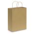 Paper Carry Bag - Large Paper Bags from Challenge Marketing NZ