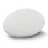 Rugby Ball Pro Balls for sale by Challenge Marketing Rugby Ball Pro Balls from Challenge Marketing NZ