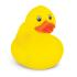 Rubber Duck Promotion from Challenge Marketing NZ