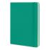 Moleskine Classic Hard Cover Notebook - Large Notebooks from Challenge Marketing NZ