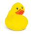 Rubber Duck Promotion from Challenge Marketing NZ