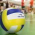 Volleyball Pro Balls from Challenge Marketing NZ