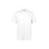 Mens Salsa Short Sleeve Chef Shirt - CH329MS Mens and Ladies Shirts from Challenge Marketing NZ