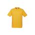 Mens Ice Short Sleeve Tee - T10012 T Shirts from Challenge Marketing NZ