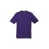 Mens Ice Short Sleeve Tee - T10012 T Shirts from Challenge Marketing NZ