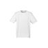 Mens Ice Short Sleeve Tee - T10012 T Shirts from Challenge Marketing NZ