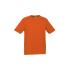 Kids Ice Short Sleeve Tee - T10032 T Shirts from Challenge Marketing NZ