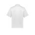 Mens Zest Short Sleeve Chef Jacket - CH232MS Hospitality from Challenge Marketing NZ
