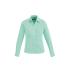 Womens Hudson Long Sleeve Shirt - 40310 Mens and Ladies Shirts from Challenge Marketing NZ