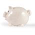 World s Smallest Pig Eco Coin Bank Coin Banks from Challenge Marketing NZ