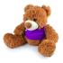 Coco Plush Teddy Bear Plush / Soft Toys from Challenge Marketing NZ