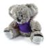 Korporate Koala Plush / Soft Toys from Challenge Marketing NZ