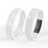 Stride Pedometer Bracelet 2.0 Fitness Bands & Watches from Challenge Marketing NZ