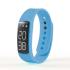 Endurance Pedometer MKII Personal & Health Beauty from Challenge Marketing NZ