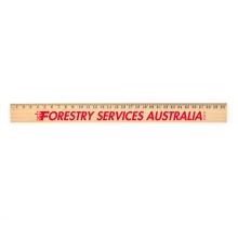 Axis 30cm Wooden Ruler Rulers from Challenge Marketing NZ