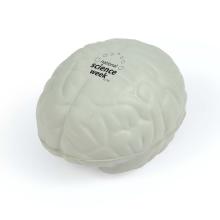 Brain Stress Reliever Stress Relievers from Challenge Marketing NZ