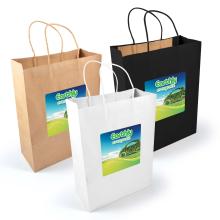 Express Paper Bag Large Paper Bags from Challenge Marketing NZ