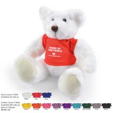 Frosty Plush Teddy Bear Plush / Soft Toys from Challenge Marketing NZ